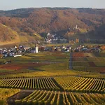 Apartment Weingut Im Moselkrampen