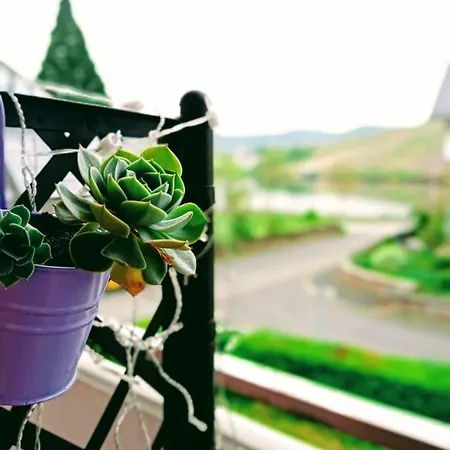 Weingut Im Moselkrampen Daire *