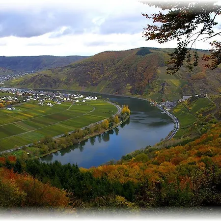 Daire Weingut Im Moselkrampen *
