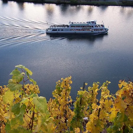 Weingut Im Moselkrampen Appartement *
