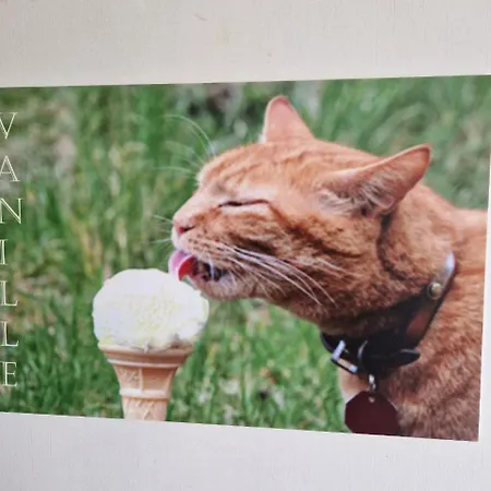 Appartement Weingut Im Moselkrampen