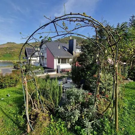 Appartement Weingut Im Moselkrampen *