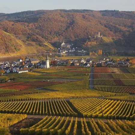 アパート Weingut Im Moselkrampen