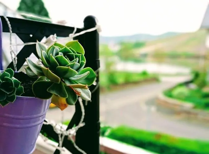 Weingut Im Moselkrampen Appartement *