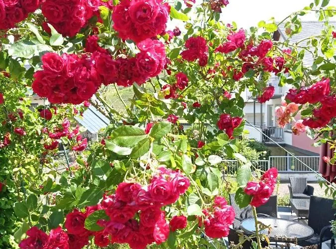 Appartement Weingut Im Moselkrampen Ellenz-Poltersdorf