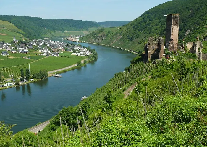 Weingut Im Moselkrampen 아파트