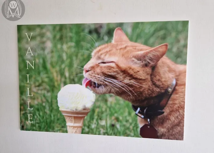 아파트 Weingut Im Moselkrampen