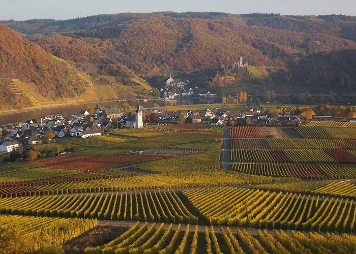 Appartement Weingut Im Moselkrampen